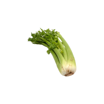 Celery stalk