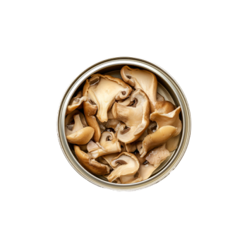 Canned champignons