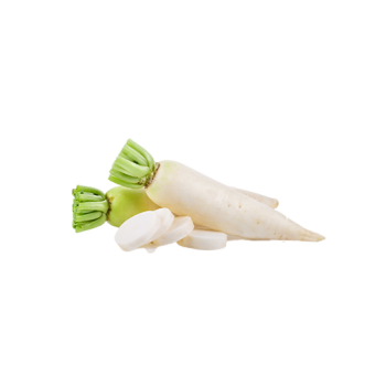 White radish