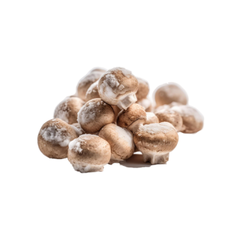 Frozen mushrooms