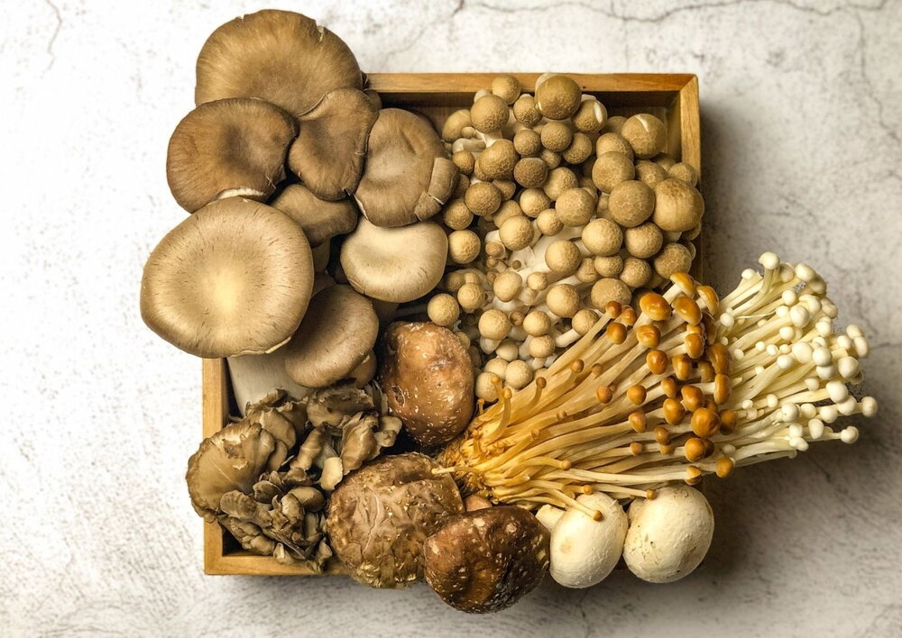 Mighty Mushrooms: Can They Be Your Secret Plant-Based Protein Source?
