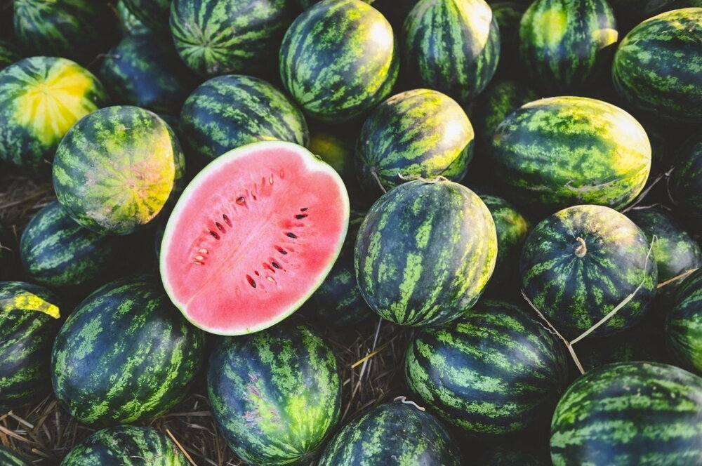 Crack the Code: How to Choose the Perfect Watermelon Every Time