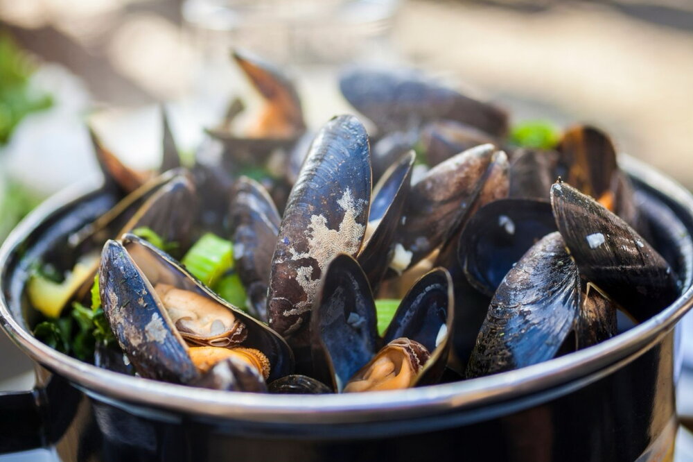 How to cook mussels
