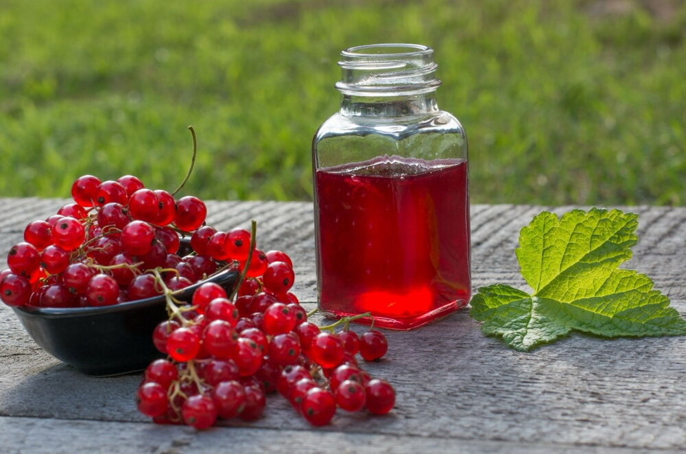 Redcurrant jelly