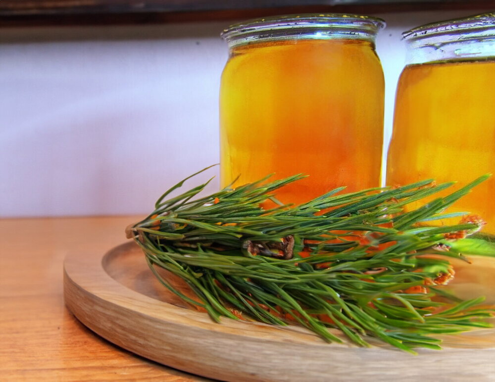 Pine Syrup (Pine Honey) from Pine Shoots