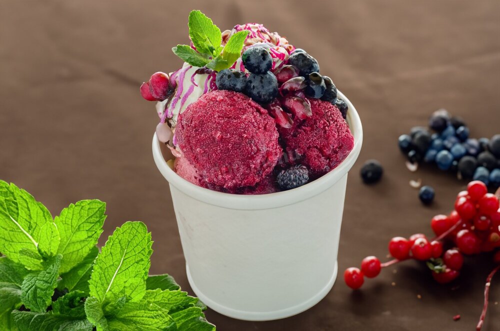 Homemade Sorbet Ice Cream in a Blender