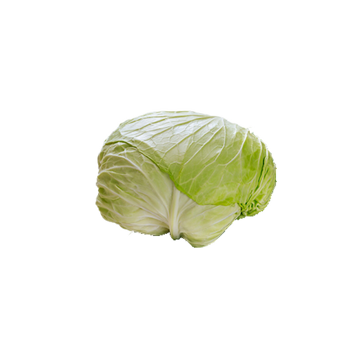 White cabbage White cabbage