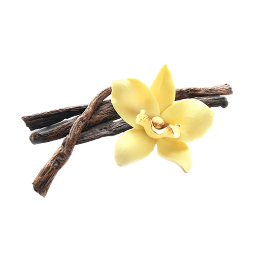 Vanilla pod Vanilla pod