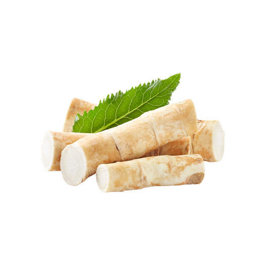 Horseradish root Horseradish root