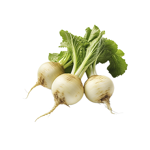 Turnip