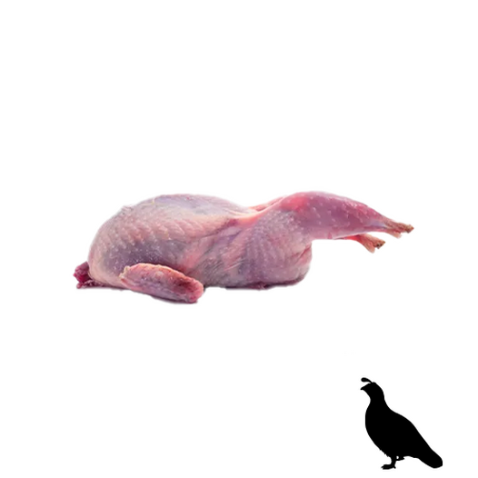 Quail