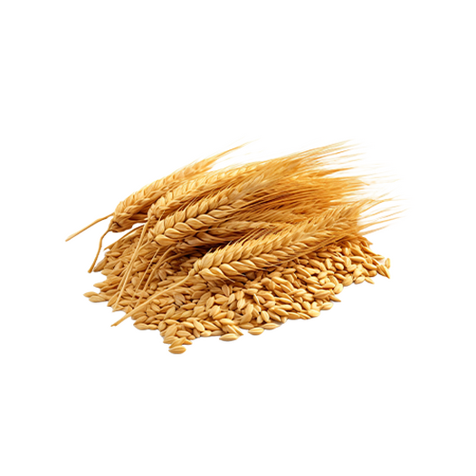 Wheat groats Wheat groats
