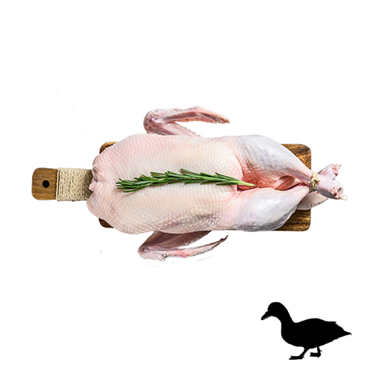 Goose