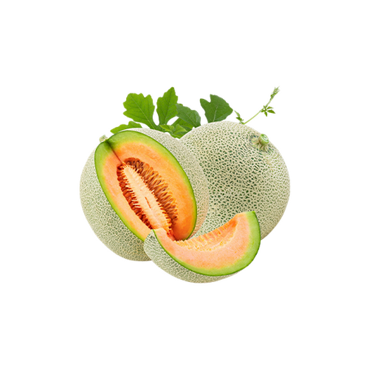 Melon