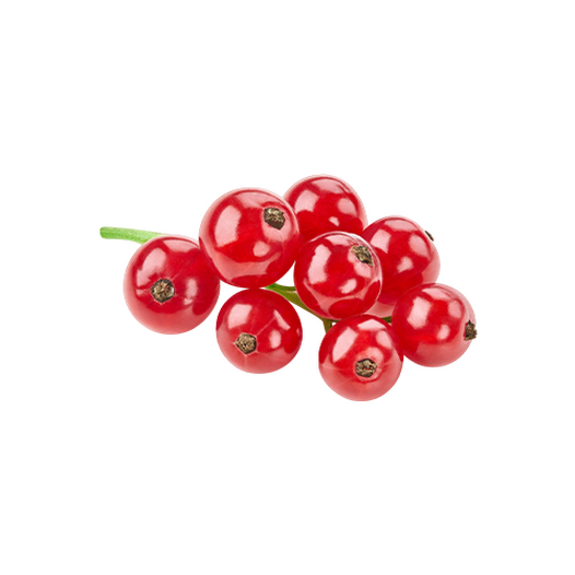 Red currant