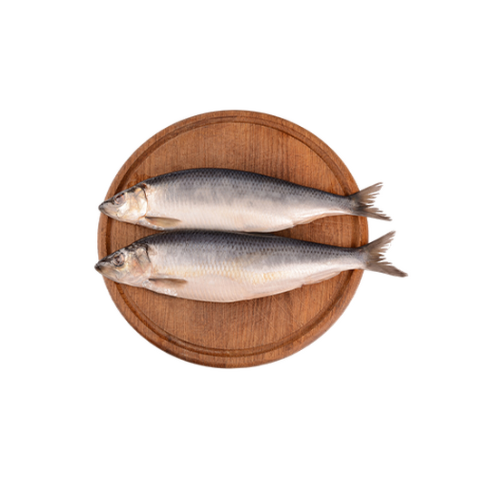 Herring