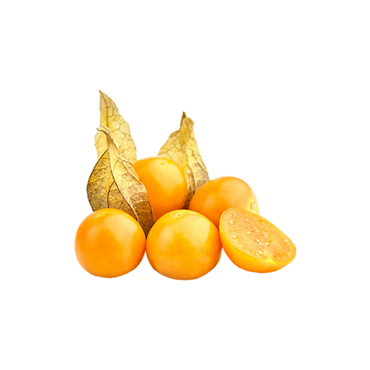 Physalis