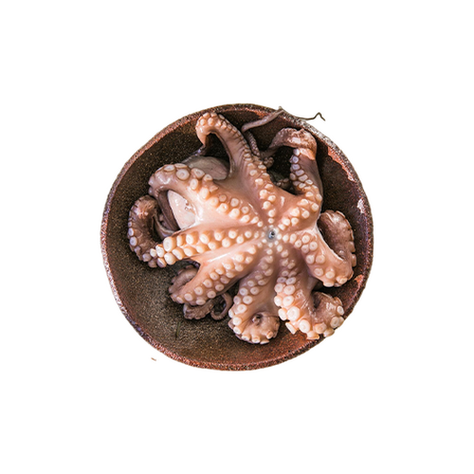 Octopus