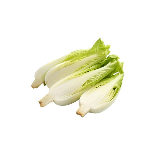 Endive