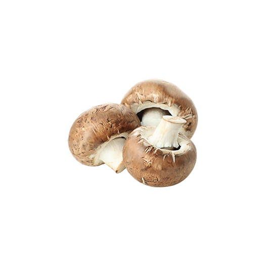Champignon Champignon