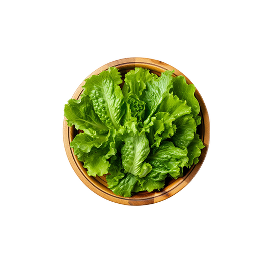 Escarole