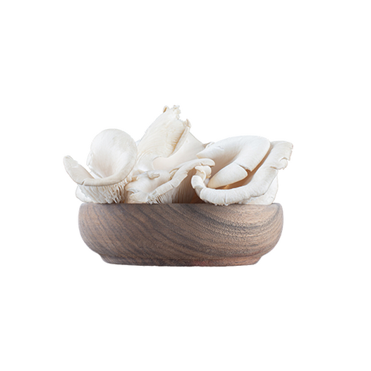Oyster mushrooms