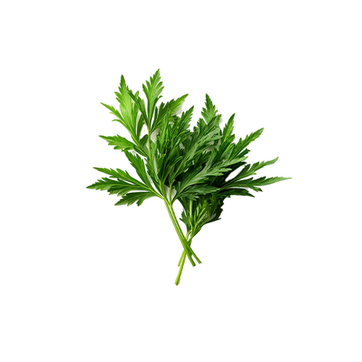 Wormwood