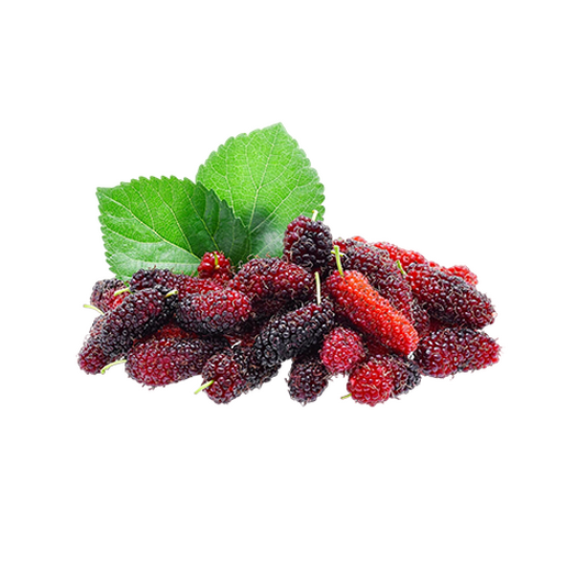 Mulberry