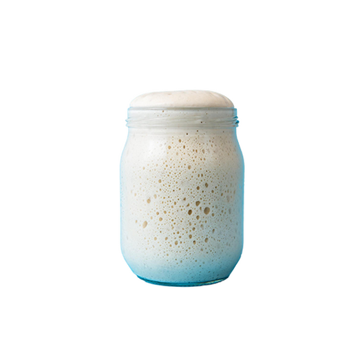 Ready-made sourdough starter