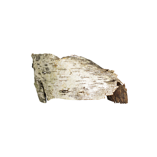 Birch bark