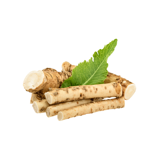 Horseradish Horseradish