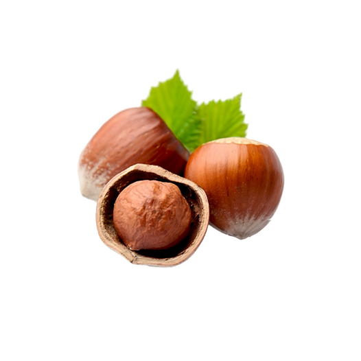 Hazelnut Hazelnut