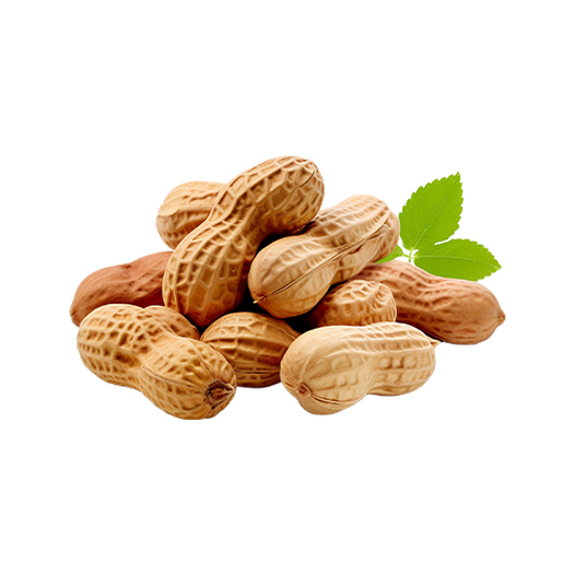 Peanut