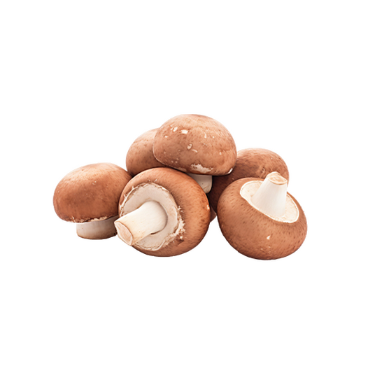 Shiitake
