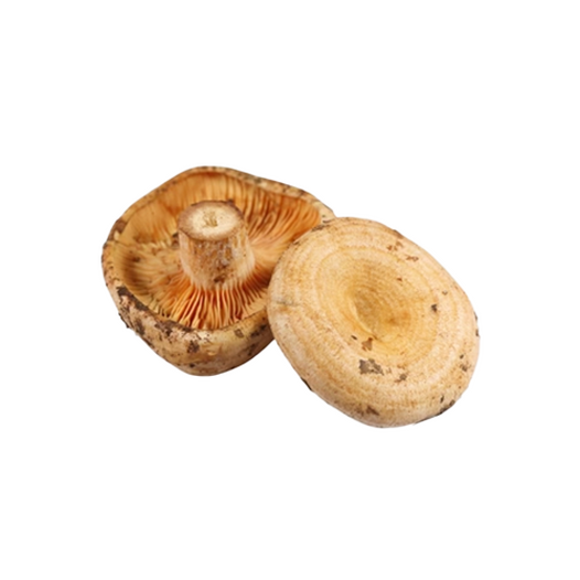Saffron milk caps