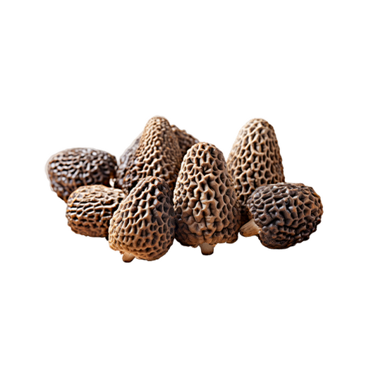 Morels
