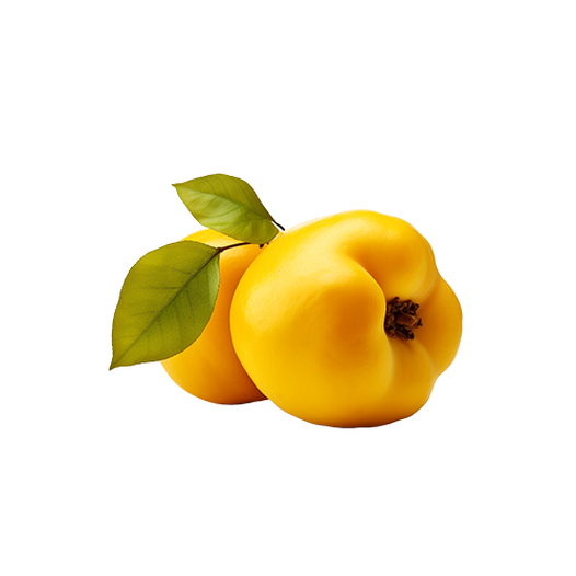 Quince