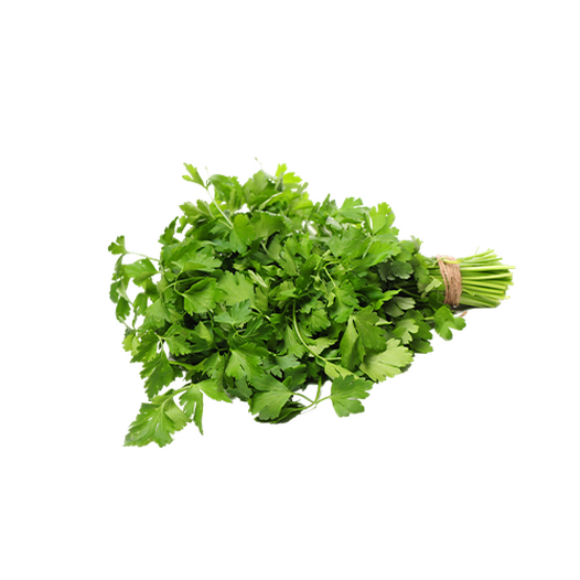 Cilantro, coriander Cilantro, coriander