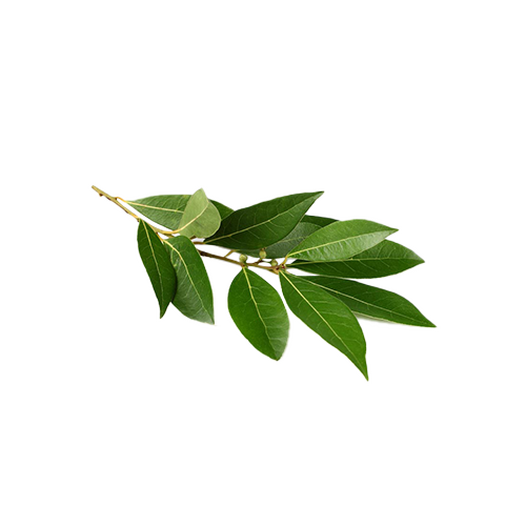 Laurel leaf Laurel leaf
