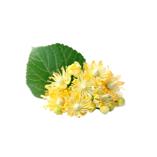 Linden flowers