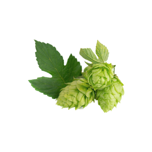 Hops