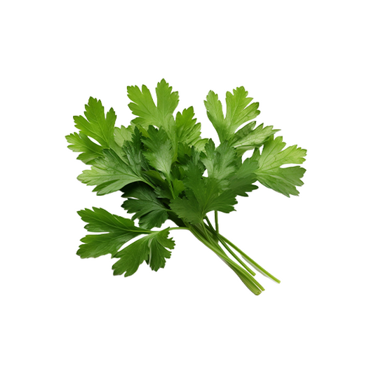 Parsley Parsley