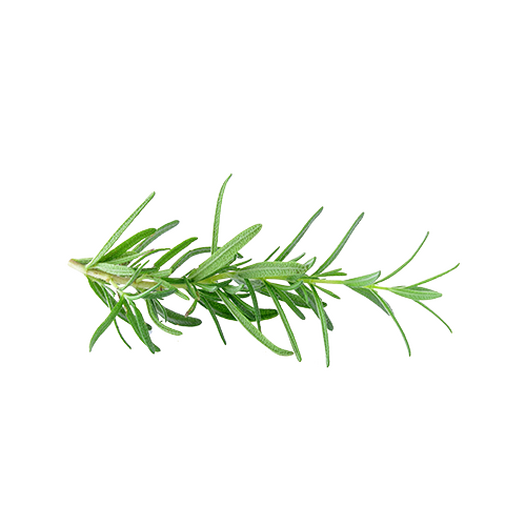 Rosemary Rosemary