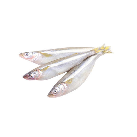 Smelt