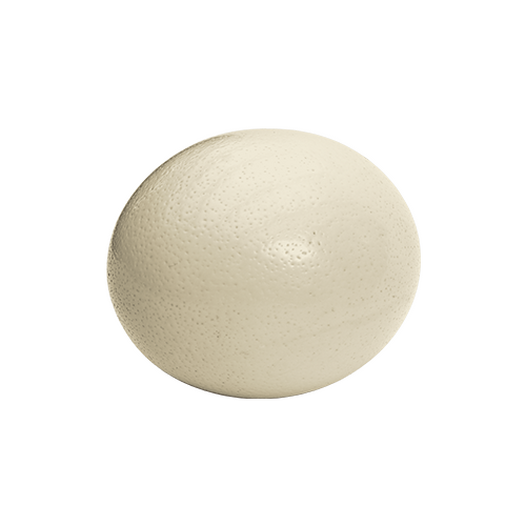 Ostrich egg
