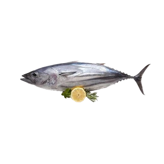 Fresh tuna