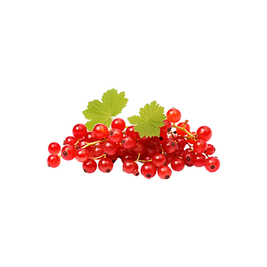 Redcurrants