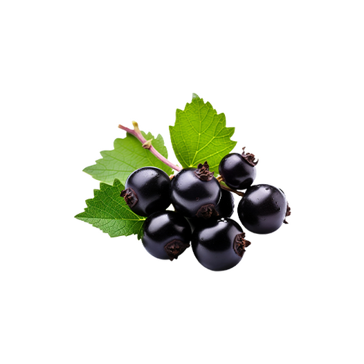 Blackcurrants