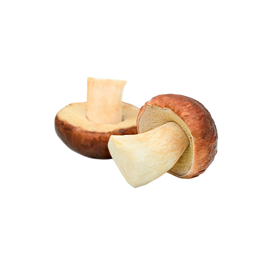 Fresh white mushrooms