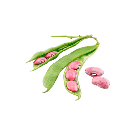 Runner bean